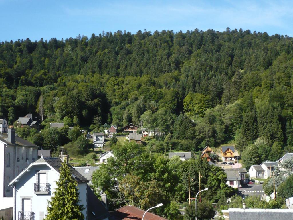 Résidence Wilson Mont-Dore Habitación foto